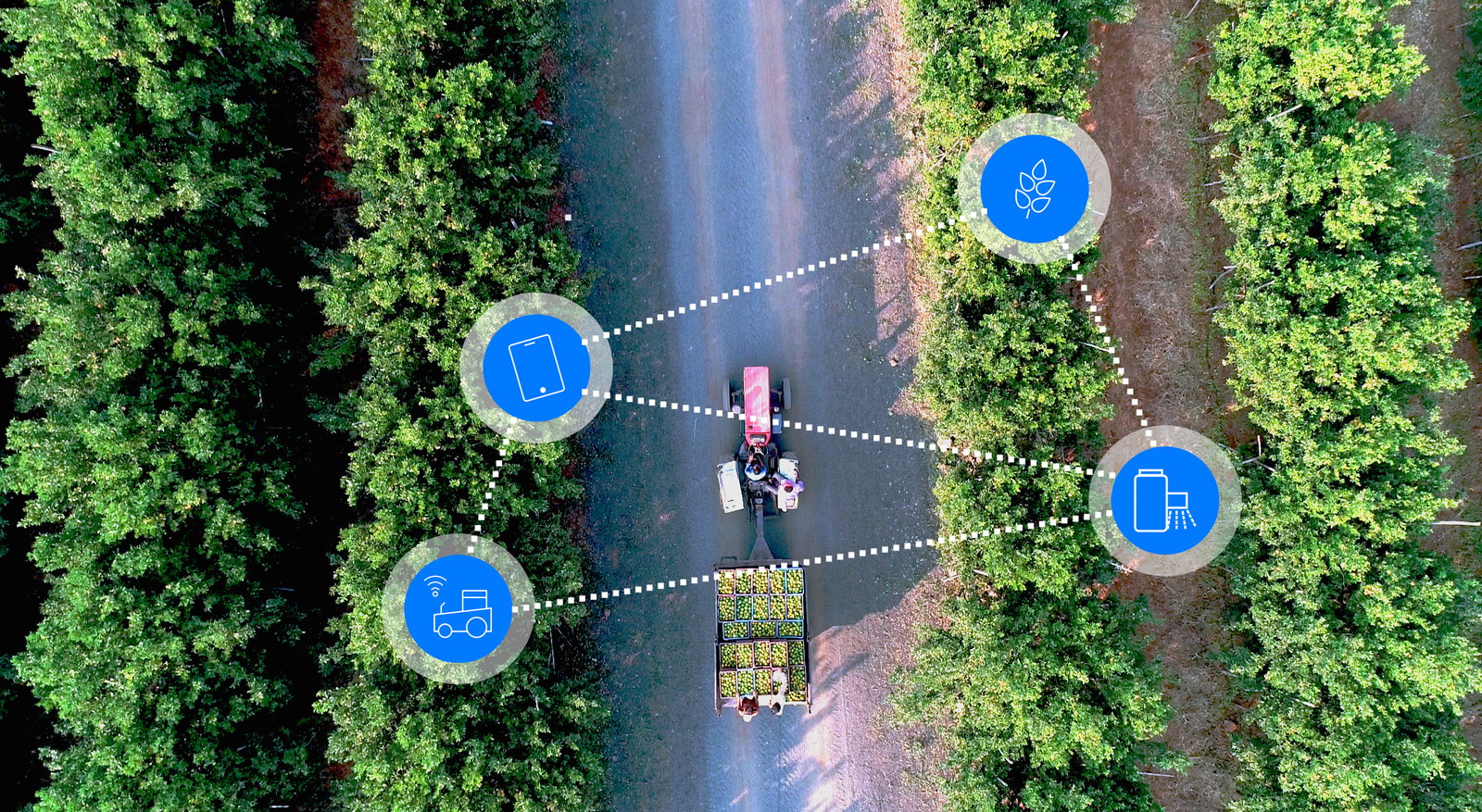 DIGITAL FARMING UNTUK KEBUN