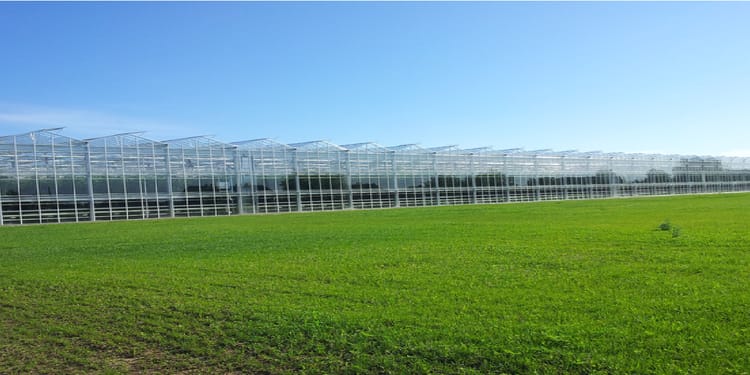 Pembiayaan greenhouse
