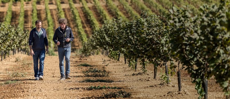 Pengetahuan Tentang Tanaman
