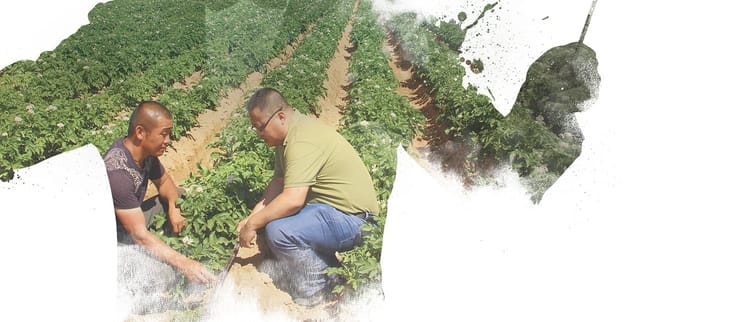 Dari Konsep Hingga pekerjaan selesai