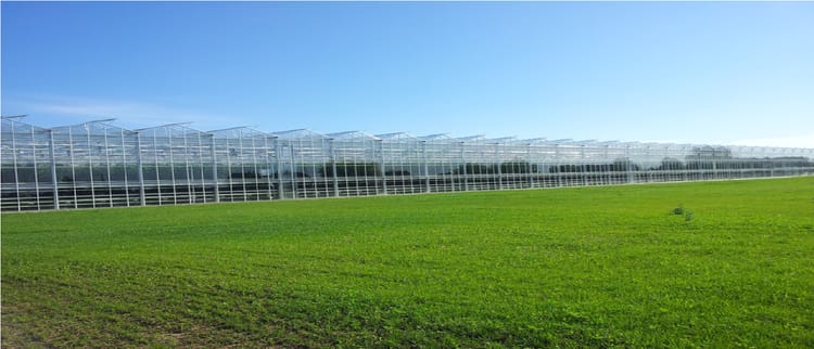 Pembiayaan greenhouse