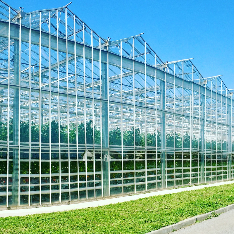 Struktur greenhouse